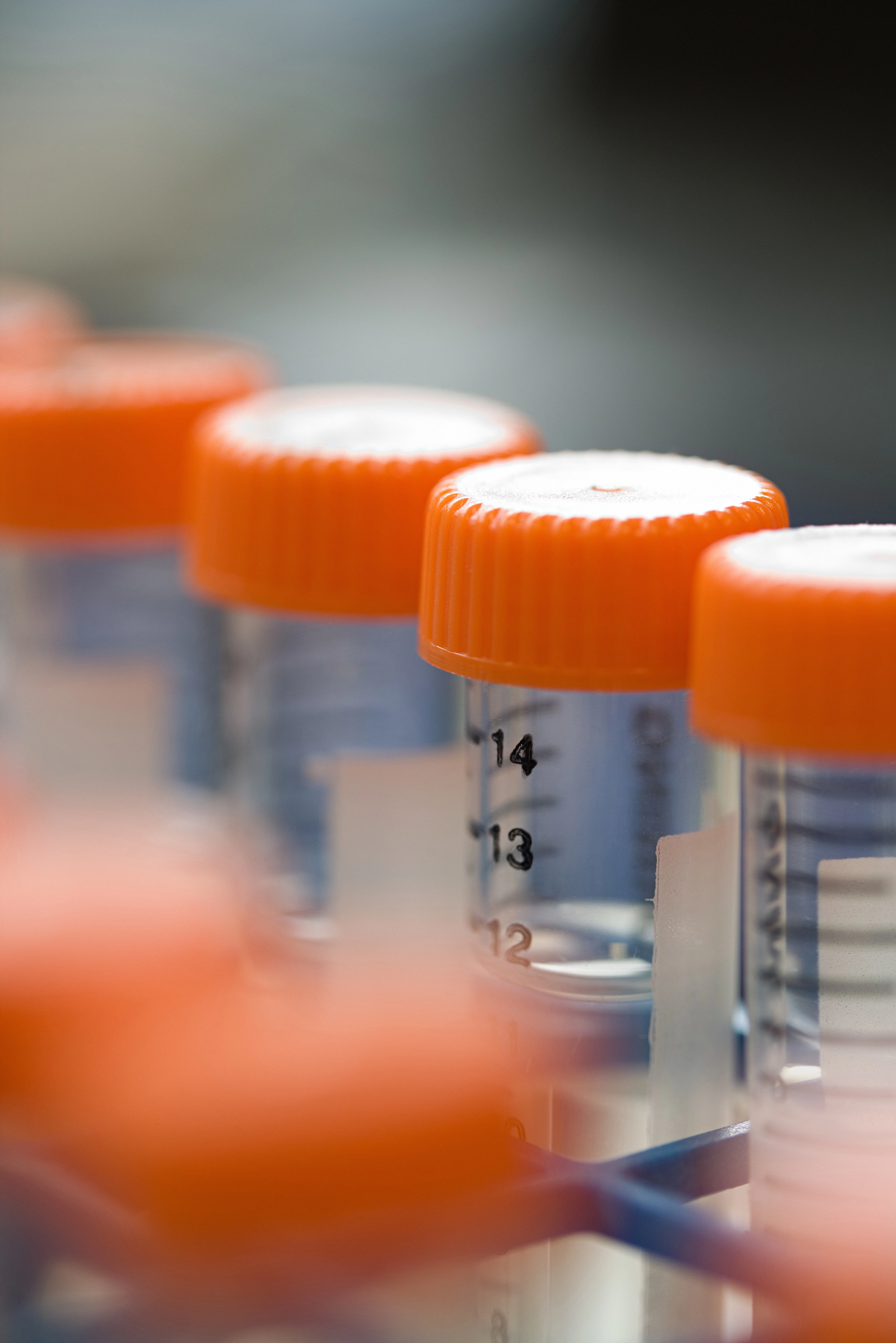 Foto em detalhe de frascos alinhados na horizontal. Os frascos possuem um líquido incolor, numeração de nível em cor preta e a tampa laranja. 